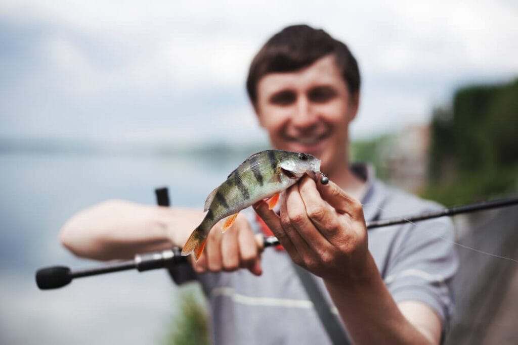 ACC-Crappie-Stix-Coupons